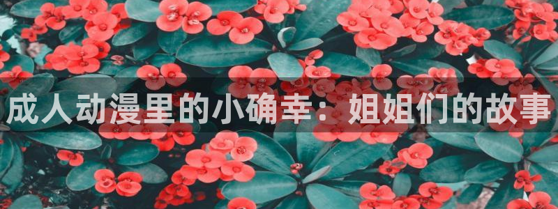 omofun无广告版下载：成人动漫里的小确幸：姐姐们的故事