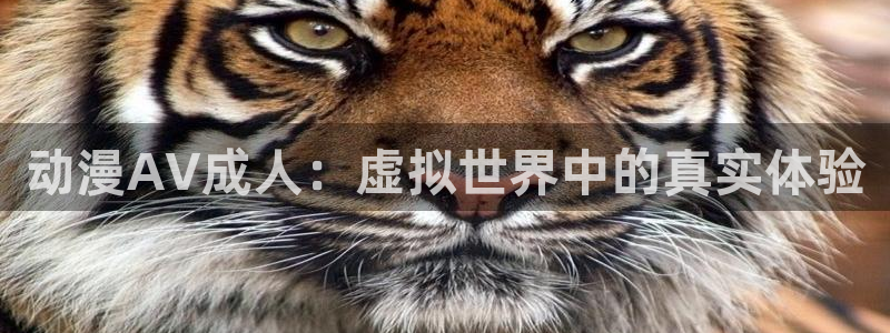omofun网页版入口：动漫AV成人：虚拟世界中的真实体验
