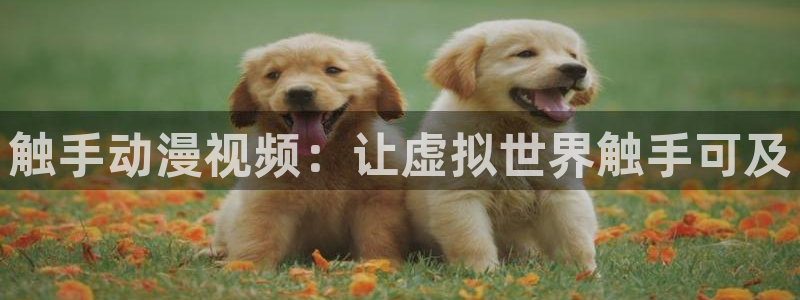omofun正版下载：触手动漫视频：让虚拟世界触手可及