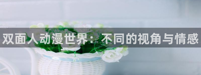 omofun动漫下载：双面人动漫世界：不同的视角与情感