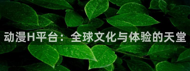 omofun动画网：动漫H平台：全球文化与体验的天堂