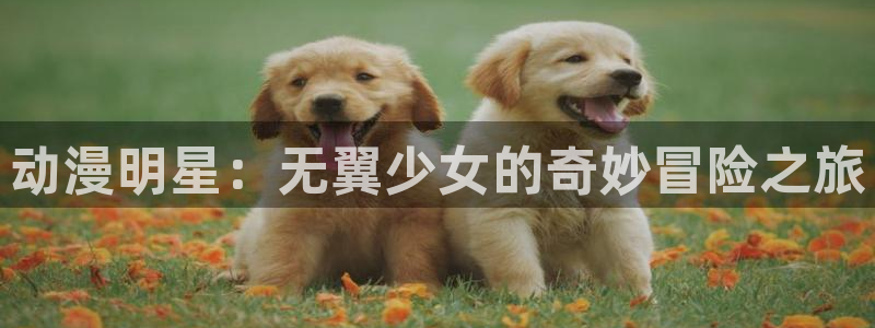 omofun官网网站入口：动漫明星：无翼少女的奇妙冒险之旅