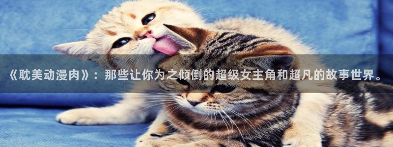 omofun\'：《耽美动漫肉》：那些让你为之倾倒的超级女主角和超凡的故事世界。
