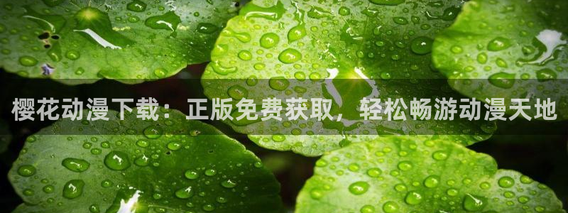 omofun网页版下载：樱花动漫下载：正版免费获取，轻松畅游动漫天地