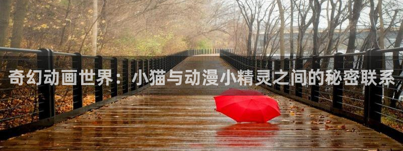 omofun漫画官网入口：奇幻动画世界：小猫与动漫小精灵之间的秘密联系