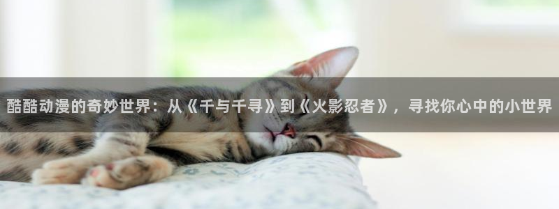 omofun电脑网页版：酷酷动漫的奇妙世界：从《千与千寻》到《火影忍者》，寻找你心中的小世界